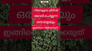 സമദാനി/നിങ്ങളുടെ കീഴിൽ ജോലി ചെയ്യുന്ന ഒരാളെയും ഇങ്ങിനെ വിളിക്കരുത്