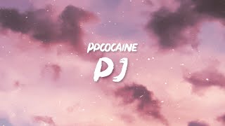 ppcocaine - PJ (Lyrics) | Bitch, did you hear what the fuck I said? Shake some ass, ho