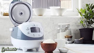 Yum Asia Panda Mini Rice Cooker Review