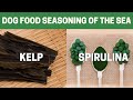 Kelp and Spirulina: Dog food seasoning of the sea | Real Dog Food On A Budget |