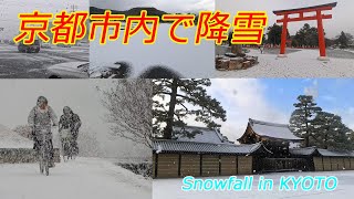 京都市内で降雪（2025年1月10日　京都市内）　Snowfall in Kyoto city