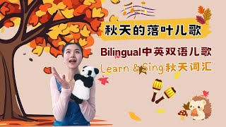 Fallen Leaves 秋天落叶儿歌 | Bilingual Autumn Nursery Rhyme | 中英双语儿童歌 | Chineseforlittles Original