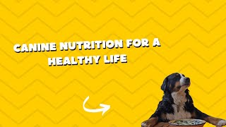 Canine Nutrition for a Healthy Life