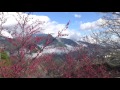 2016 01 12我在梨山 巴士等候區看雪景01