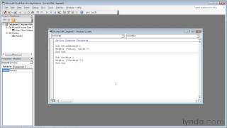 2. Introducing Visual Basic for Applications (VBA)_4.modules