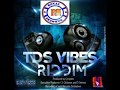 TDS VIBES RIDDIM MIXTAPE DONE BY ROYAL BADNESS SOUND[D.J SPICE & M.C IRRATY]JUNE 2017