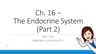 Ch. 16 - Non-Endocrine Hormone Producing Organs