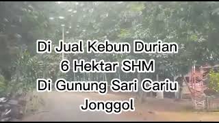 Jual Kebun Durian Cariu Jonggol @ALDI PROPERTY BGR