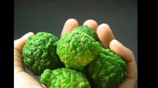 Bergamot Nedir Faydaları Zararları Ne İşe Yarar?