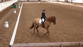 Lehtinen Eeva \u0026 Piparilla - HeA:4 @ Ypäjä Spring Dressage 20.-22.4.2018