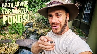 How to setup your turtle pond for Winter!