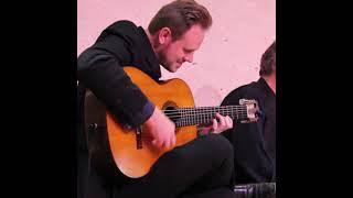 Inolvidable | Michael McClintock | Guitar Solo | #Shorts