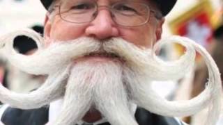 Mustache March 2013