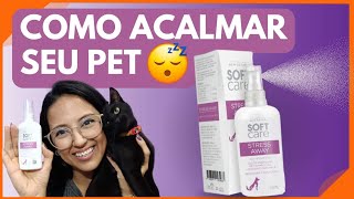 Como acalmar cachorro ou gato? | Stress Away - Spray Calmante