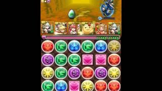 パズドラ[大泥棒参上！地獄級]薔薇戦姫·グレイスヴァルキリー 9PT