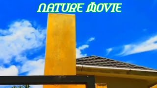 Nature || cinematic photograpy | nature movie