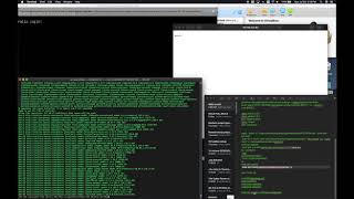 Rails 6.0 with Postgres setup