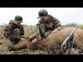 Elk Hunt with CVA Muzzleloader: Kid Stalks a Herd and Harvests His First Cow Elk on Public Land