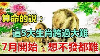 算命的說：這5大生肖跨過大難，從7月份開始，想不發都難 - 十二生肖