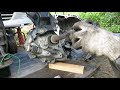 カペラのエンジン交換③（mazda　capella　engine replacement③）