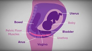 Pelvic floor exercises during pregnancy | txt4two Program | Mater Mothers