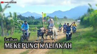 LATIHAN MAKEPUNG KALIAKAH‼️#makepung