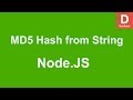 NodeJS Create MD5 Hash from String