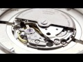 miyota caliber 8215 automatic movement monday