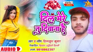 #SONG |  दिल मेरे तू दीवाना #Dilkhush Kumar | Hindi Latest Songs 2023 | Dil Mere Tu Deewana Hai