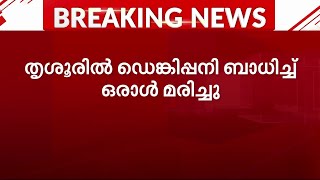 പനി പിടിച്ച് കേരളം ; കൂടുതൽ രോഗികൾ മലപ്പുറത്ത് | Fever | Malappuram