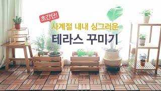 초간단! 테라스 꾸미기 꿀팁｜마켓비로 모~두 꾸민 테라스인테리어｜planterior, home gardening, plants