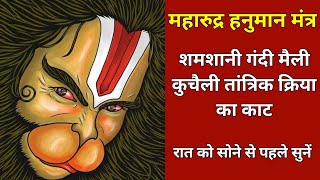 Maharudra Hanuman Mantra To Remove Bhoot Pret Tantra Mantra Badha