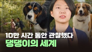 강아지🐶는 무슨 생각을 할까? 인간과 함께하는 이유는?  [점심신간 Ep.4-2]