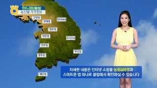 농산물 알뜰 가격정보 (2014년 9월 5일)