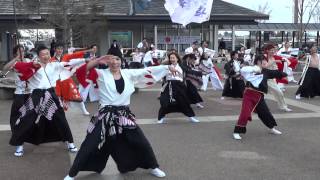 黒田武士／道の駅庄和／第12回東日本大震災チャリティーよさこい