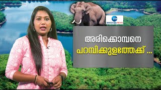 Mission Arikomban | അരിക്കൊമ്പനെ പറമ്പിക്കുളത്തേക്ക് അറിയേണ്ടതെല്ലാം