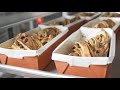 Babka With A Backstory | New York Live TV