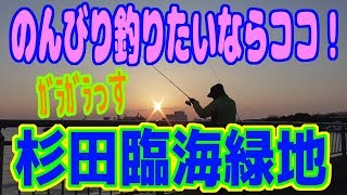 釣り動画ロマンを求めて 234釣目（杉田臨海緑地）