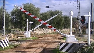 Spoorwegovergang Sammichele di Bari (I) // Railroad crossing // Passaggio a livello