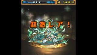 【パズドラ】 覚醒セレスを作ってみた [究極進化]