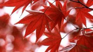 Jun Nagao:Fluttering Maple Leaves（楓風の舞）　First Half