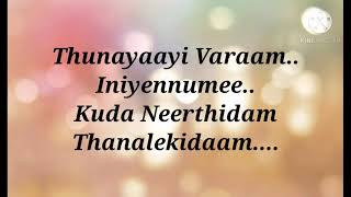 Thaniye song karaoke with lyrics | Malayalam song karaoke