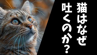 猫はなぜよく吐くのか？その理由と大丈夫な嘔吐と危険な嘔吐の見分け方