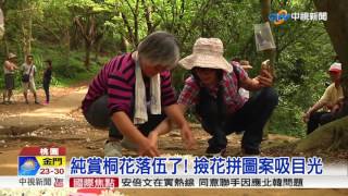 賞桐花新玩法! 花瓣拼出凱蒂貓.小丸子│中視新聞20170511