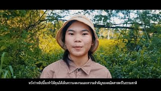 คณิตศาสตร์ในธรรมชาติ จาก สารานุกรมไทยสำหรับเยาวชนฯ เล่ม 44 | ทีม Triamprom