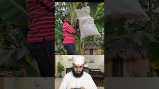 মাশাল্লাহ অনেক সুন্দর কলা।  Mizanur Rahman Azhari #shortvideo #viralvideo #reaction