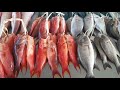 ksa yanbu fish market velog yanbu al bahar samonder view beautifull