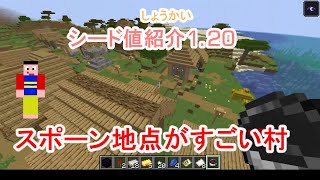 【マイクラ シード値】スポーン地点が村、近くにスポナー、沈没船、荒廃したポータル