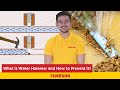 What is Water Hammer and How to Prevent it? I Tameson