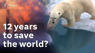 Scientists Warn Of Imminent Climate Catastrophe Without Massive Changes